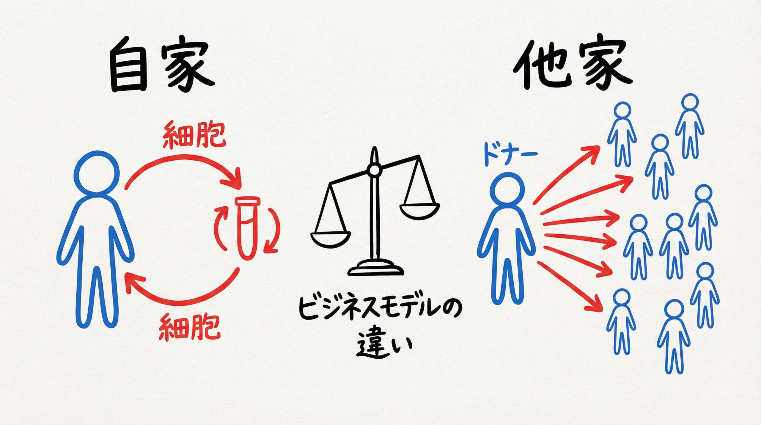 自家移植と同種(他家)移植のビジネス的観点からの比較